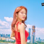 FANATICS Chiayi The Six FANATICS Chiayi The Six