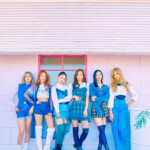 Fanatics The Six Concept Fanatics The Six Concept