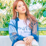 Fanatics Chiayi The Six Concept Fanatics Chiayi The Six Concept