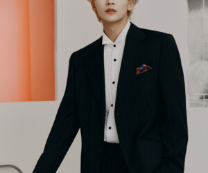 Seventeen Jeonghan An Ode Concept