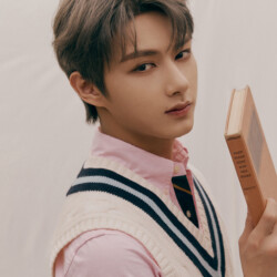 Seventeen Jun An Ode Concept