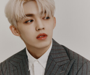 Seventeen S.Coups An Ode Concept