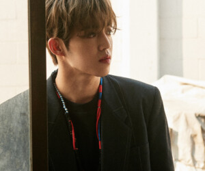 Seventeen S.Coups An Ode Concept