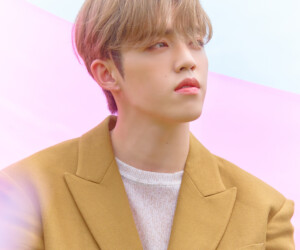 Seventeen S.Coups An Ode Concept