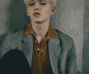 Seventeen S.Coups An Ode Concept