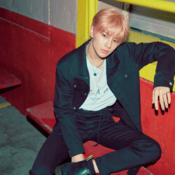 Stray Kids IN Double Knot Concept Stray Kids IN Double Knot Concept