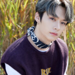 Stray Kids Cle Levanter Lee Know Stray Kids Cle Levanter Lee Know