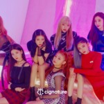 Cignature Nun Nu Nan Na Concept Cignature Nun Nu Nan Na Concept