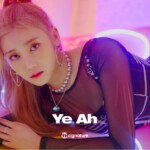 Cignature Nun Nu Nan Na Yeah Concept Teaser Cignature Yeah