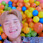 Chenle Chewing Gum
