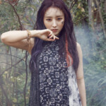 Dreamcatcher Sua Dystopia: The Tree of Language Concept Dreamcatcher Sua Dystopia: The Tree of Language