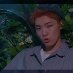 Dino Adore U