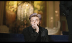 BTS RM Black Swan Black Swan RM