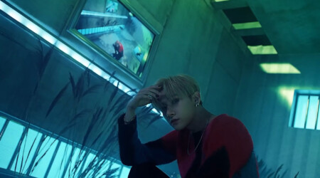 IM Monsta X Alligator IM Alligator