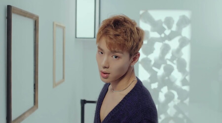 Shownu Monsta X Alligator Shownu Alligator