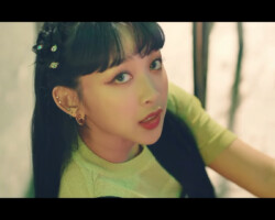 SECRET NUMBER Dita Who Dis SECRET NUMBER Dita