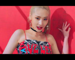 SECRET NUMBER Jinny Who Dis SECRET NUMBER Jinny