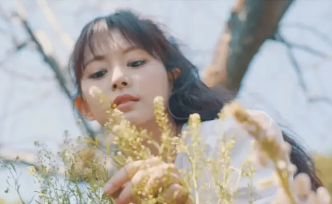 Twice Tzuyu More & More Concept Film Tzuyu More & More