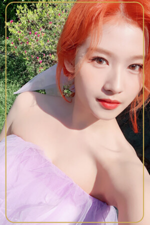 Sana Twice More & More Album Photocard Sana Twice More & More Photocard