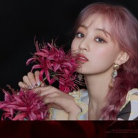 Twice Jihyo More & More