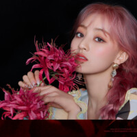 Twice Jihyo More & More Concept 2