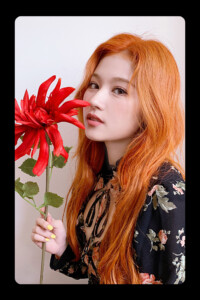 Twice More & More Sana Photocard Twice More & More Sana Photocard