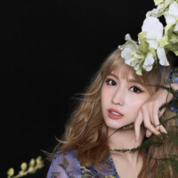 Momo TWICE More & More Concept