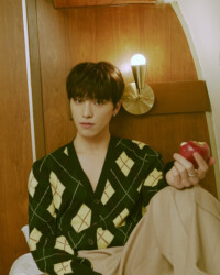 Dino SEVENTEEN Henggarae