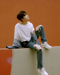Dino SEVENTEEN Henggarae