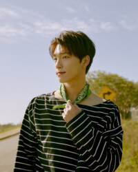Dino SEVENTEEN Henggarae