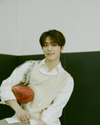 Dino SEVENTEEN Henggarae