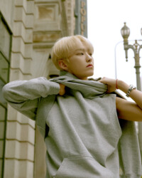 Hoshi SEVENTEEN Henggarae