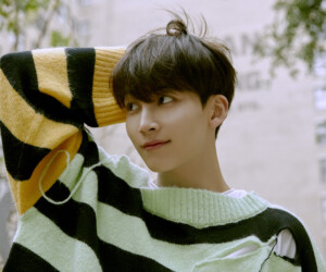Jeonghan SEVENTEEN Henggarae