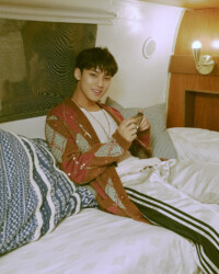 Mingyu SEVENTEEN Henggarae