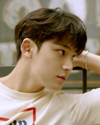 Mingyu SEVENTEEN Henggarae