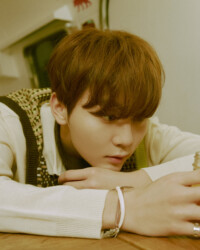 Seungkwan SEVENTEEN Henggarae