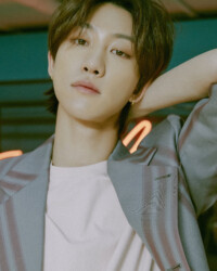 The 8 SEVENTEEN Henggarae