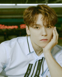 Vernon SEVENTEEN Henggarae