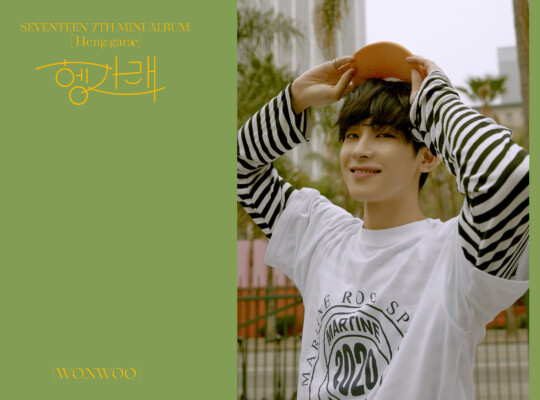 Seventeen Wonwoo Henggarae Teaser Wonwoo Seventeen Henggarae