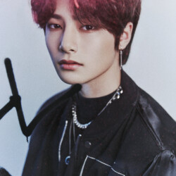 IN Stray Kids Go Concept IN Stray Kids Go Concept