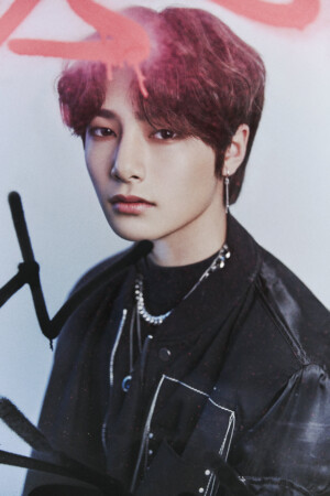 IN Stray Kids Go Concept IN Stray Kids Go Concept