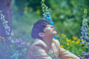 Byungchan VICTON Mayday Concept Byungchan VICTON Mayday