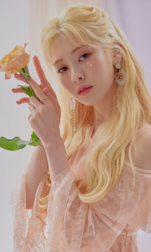 DIA Yebin Flower 4 Seasons Concept DIA Yebin Flower 4 Seasons