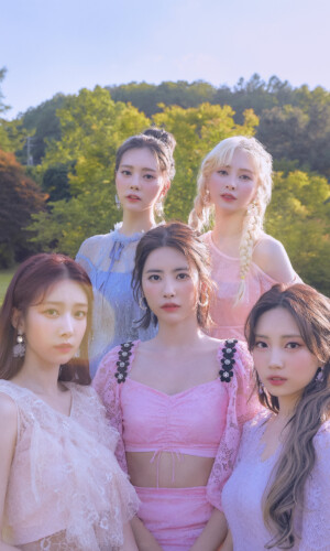 DIA Flower 4 Seasons Concept All Group DIA Flower 4 Seasons Concept All Group