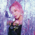 Jooe Momoland Starry Night Concept Jooe Momoland Starry Night Concept