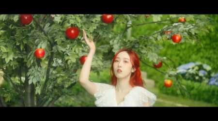 GFRIEND Apple SinB