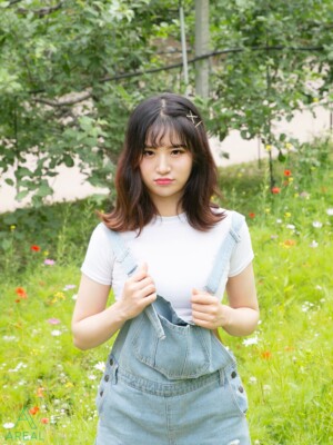 AREAL Dabi Profile AREAL Dabi Profile