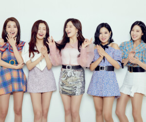 Berry Good Fantastic Concept Berry Good Fantastic Concept