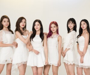 Berry Good Free Travel Concept Berry Good Free Travel Concept