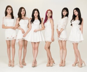 Berry Good Free Travel Concept Berry Good Free Travel Concept